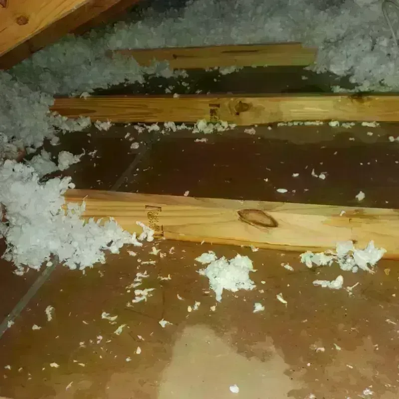 Attic Water Damage in Edinburg, TX