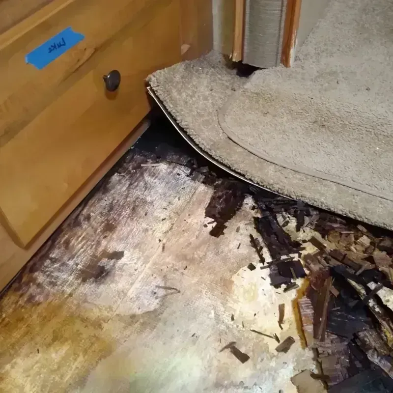 Wood Floor Water Damage in Edinburg, TX